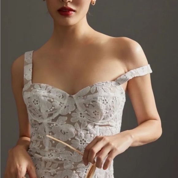 Anthropologie Hutch Slim Lace Corset Midi Maxi Dress Ivory Nude Lined - Picture 4 of 9